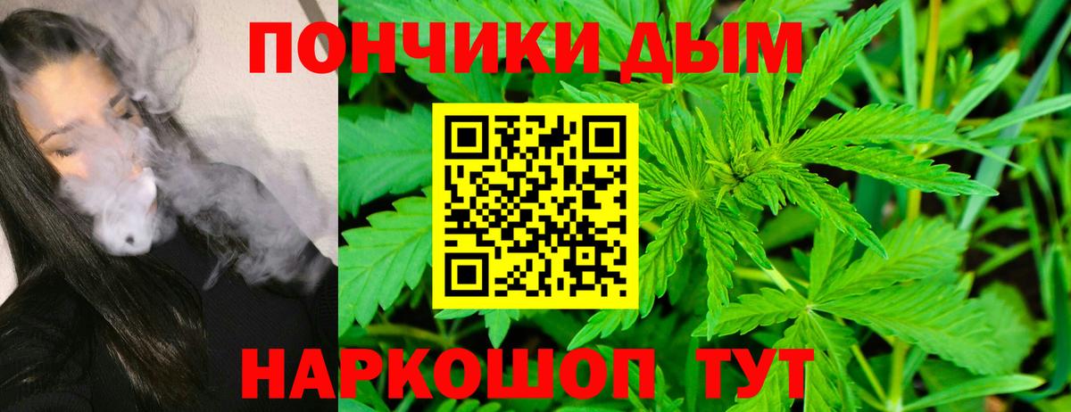 Шишки марихуана Bruce Banner Щёлково